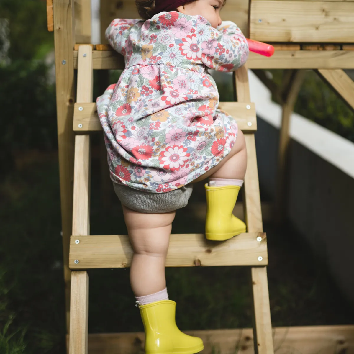 Lamington Crew Merino Socks- Dahlia