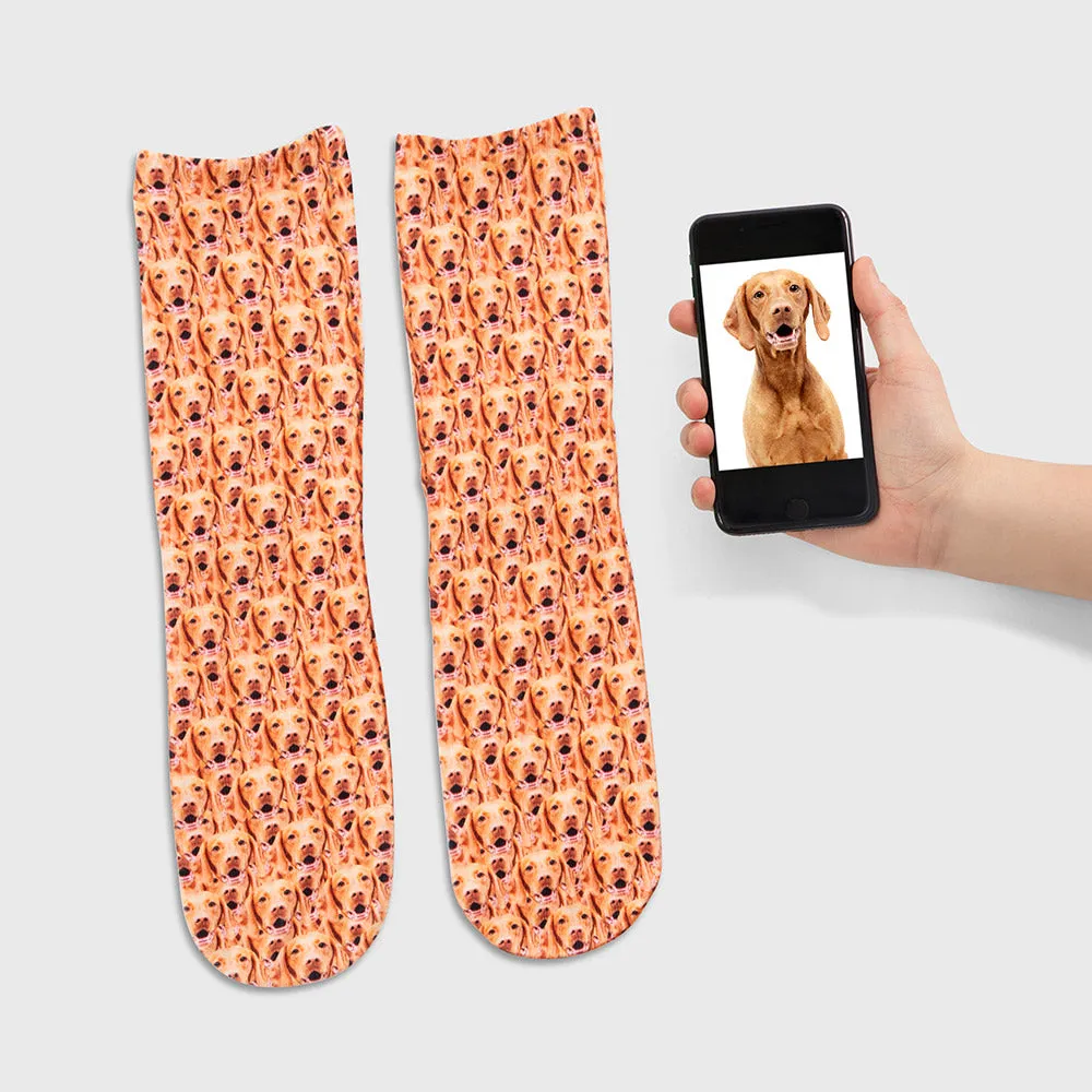 Mash Up Dogsy Socks